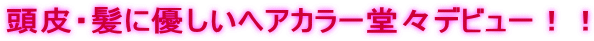 頭皮・髪に優しいヘアカラー堂々デビュー!!